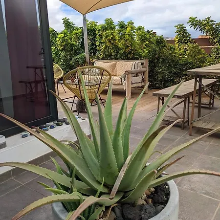 Casa Zen, Design, Swimming-pool, Fibre-internet Villa *